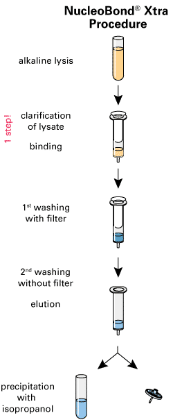 Maxipreps for plasmid DNA purification—NucleoBond Xtra Maxi/Maxi Plus
